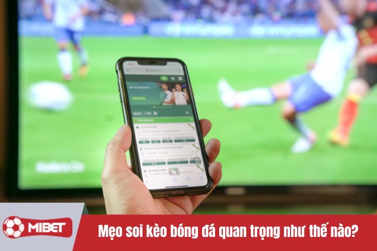 Mẹo soi kèo bóng đá quan trọng như thế nào?